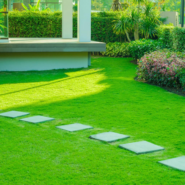 Landscaping