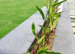 Landscaping