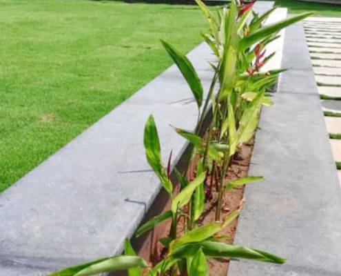 Landscaping