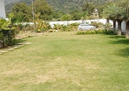 Landscaping2