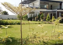Landscaping3