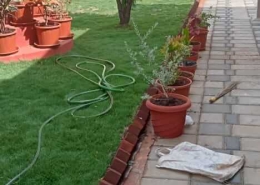 Murali Irrigation (2)