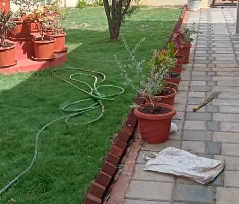 Murali Irrigation (2)