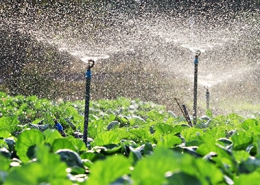 Sprinkler System (1)