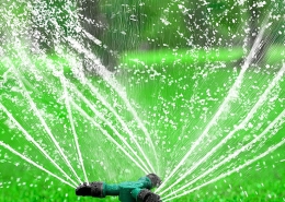 Sprinkler System (4)